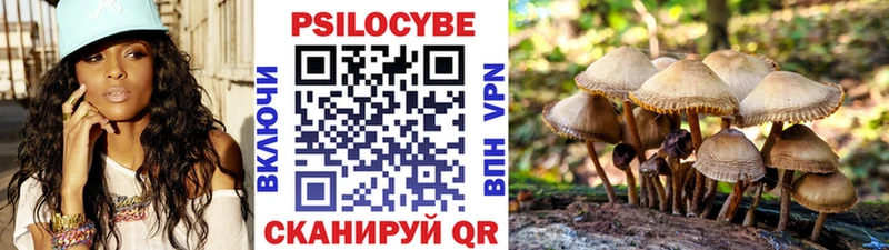 Галлюциногенные грибы мицелий  Ладушкин 